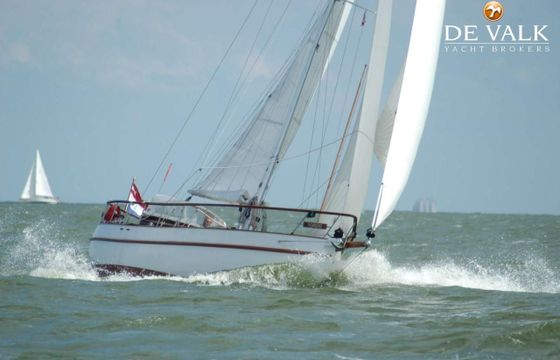 Danish Rose 31