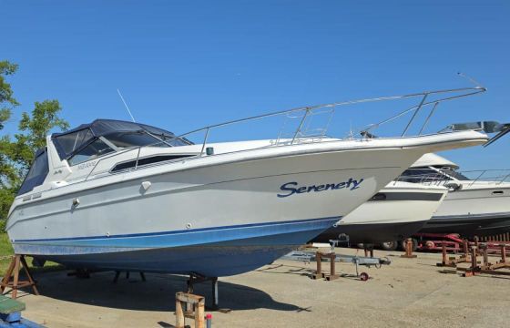 SEARAY SeaRay 310