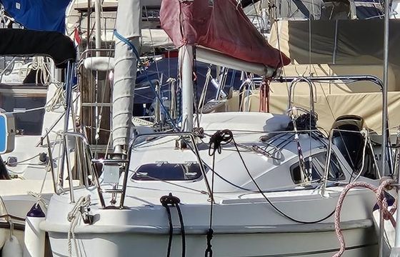 Delphia 24