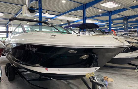 SEARAY SeaRay 250 SDX