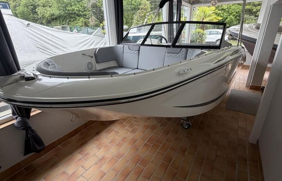 Bayliner M 17 Element
