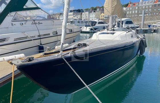 Rustler 33
