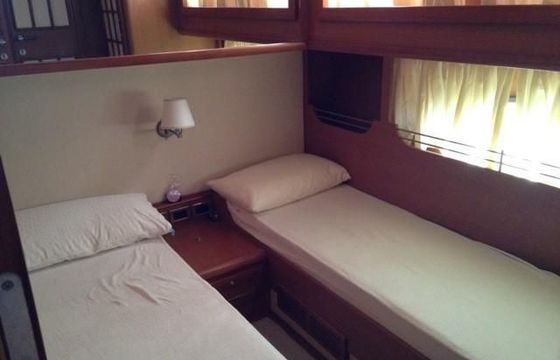 Mochi Craft Dolphin 54 Sun Top