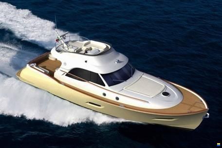 Mochi Craft Dolphin 54 Sun Top