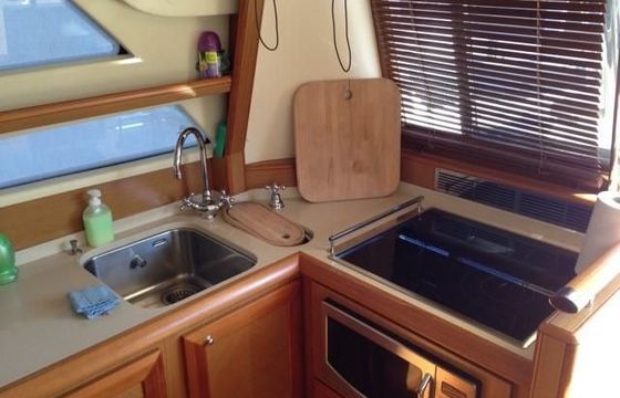 Mochi Craft Dolphin 54 Sun Top