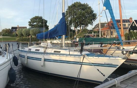 Bianca 320