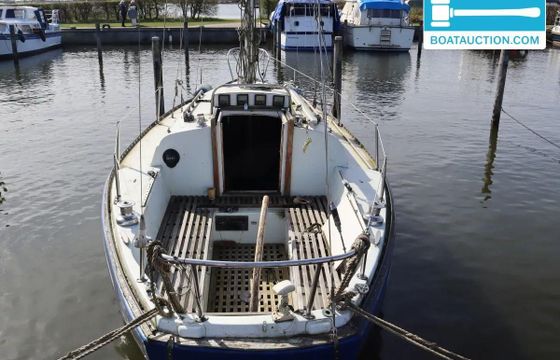 Martin 29