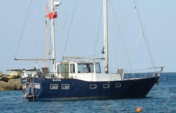 Falco 38