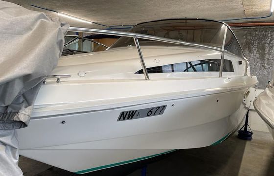 Rio 650 Cruiser