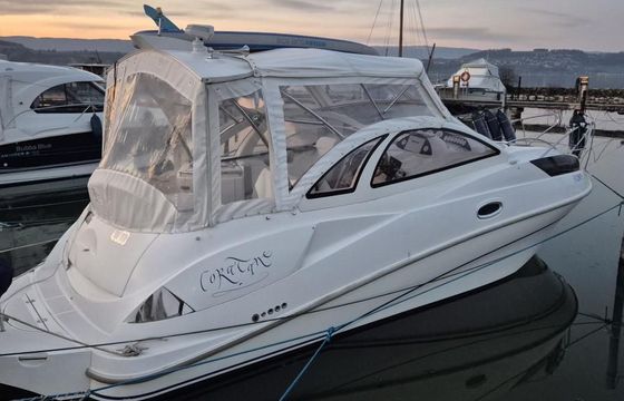 Quicksilver 890