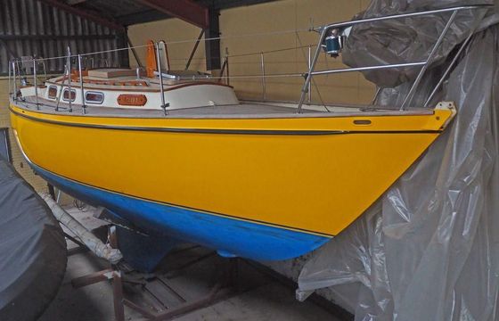 Koopmans 33