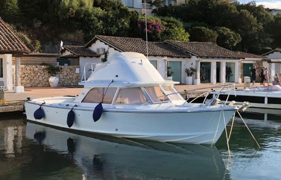 Bertram 31 SPECIAL EDITION