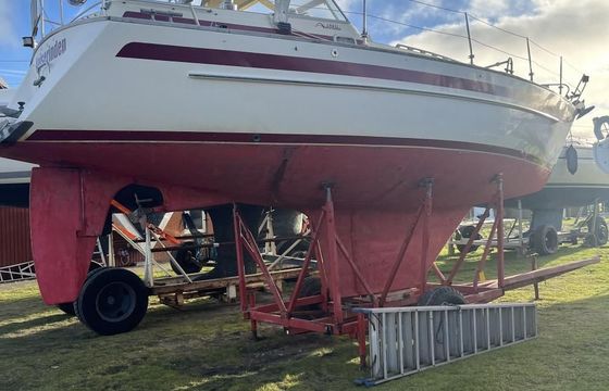 Aphrodite 33