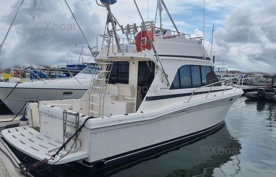 Riviera 33 FLYBRIDGE