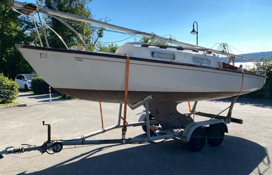 Shark24