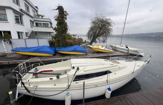 Sunbeam 25