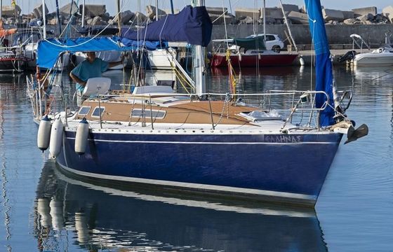 RODOS 39