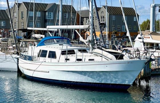 Finnrose 45 Deck saloon