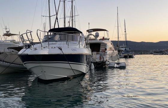 Salpa Laver 38.5