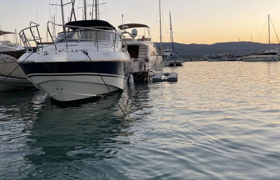 Salpa Laver 38.5