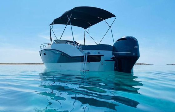 Trimarchi Dylet 85 + Honda BF250