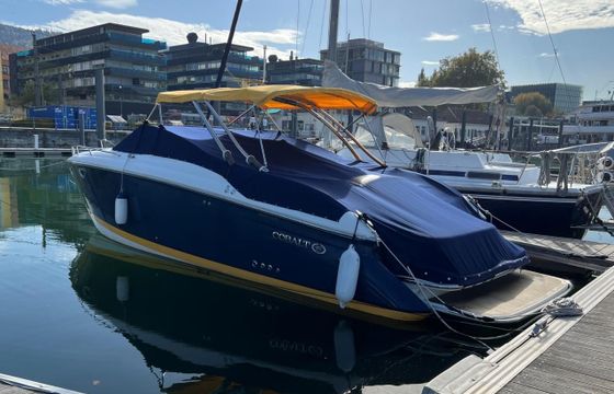 Cobalt 323