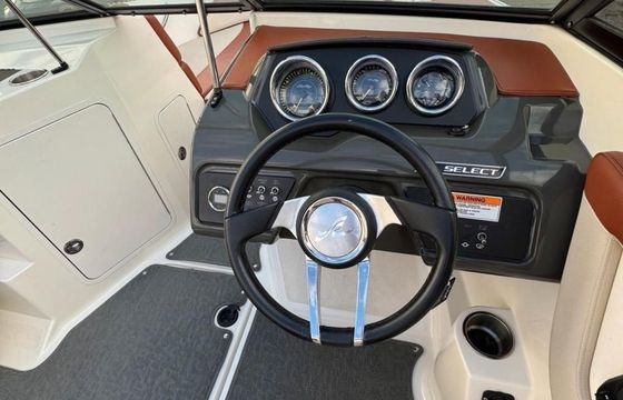 Sea Ray 190 SPO