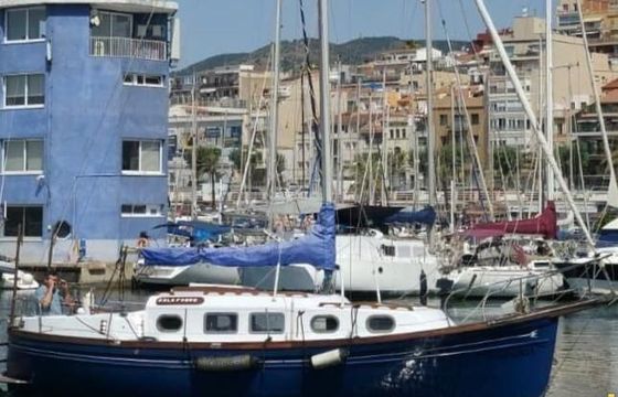 Myabca Delfin 31