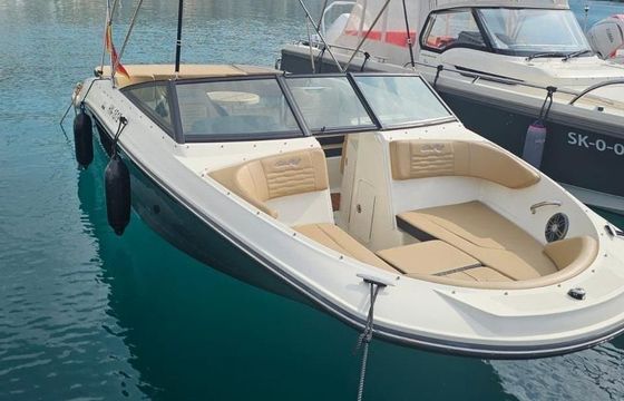 Sea Ray 210 SPX