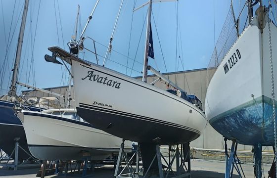 Delphia 40.3 Slup