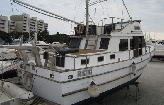 AMS Trawler 40