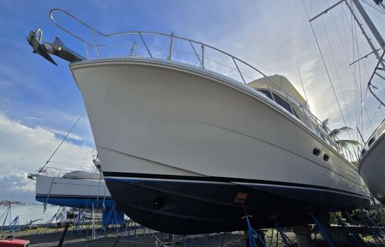 Hampton Yachts 558