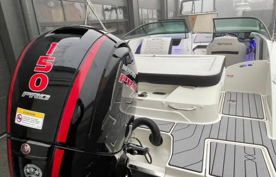 Sea Ray SPX-R 190 Outboard