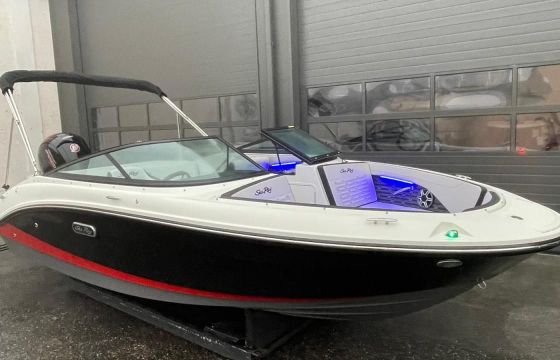 Sea Ray SPX-R 190 Outboard