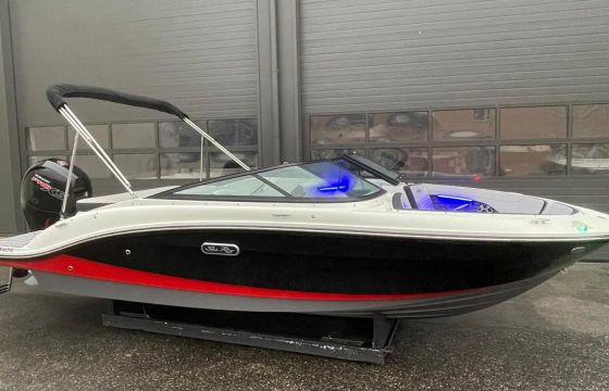 Sea Ray SPX-R 190 Outboard