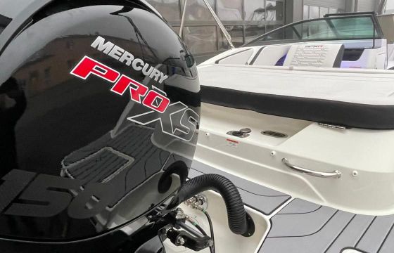 Sea Ray SPX-R 190 Outboard