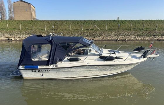 Campion 672 Explorer