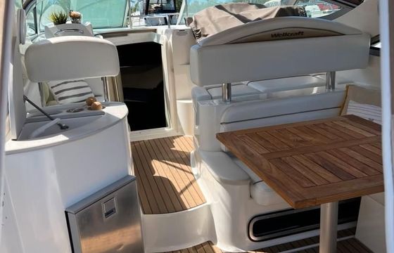 Wellcraft 3000 Martinique