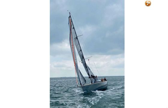 Saffier SE 33 UD