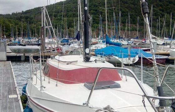 Rebell 25