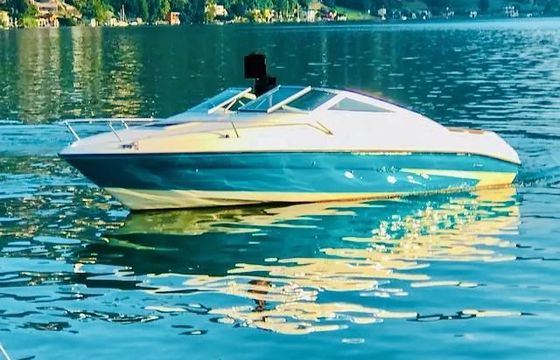 Sea Ray 200 OV LTD