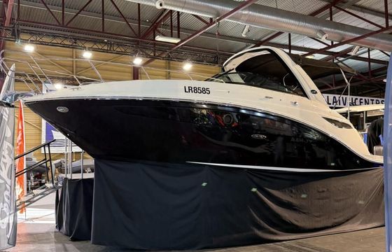 Sundancer 265