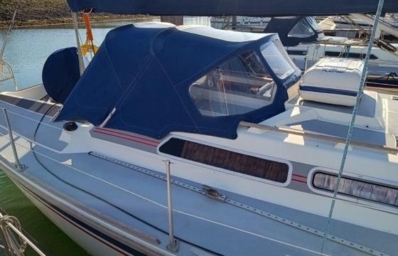 Westerly Typhoon 37
