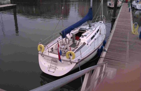 Westerly Typhoon 37
