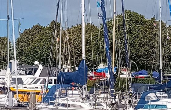 Westerly Typhoon 37
