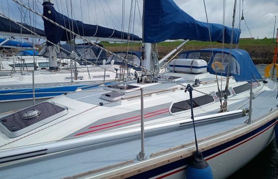 Westerly Typhoon 37