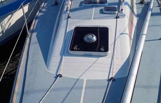 Westerly Typhoon 37