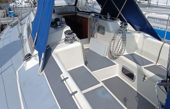 Westerly Typhoon 37