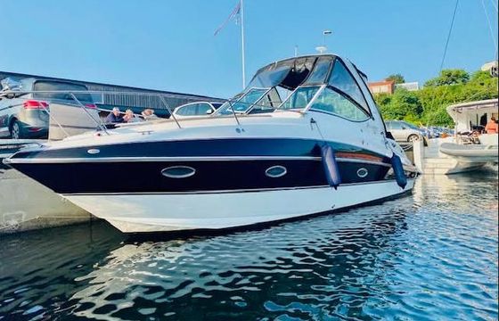 Cruisers 300 Cxi