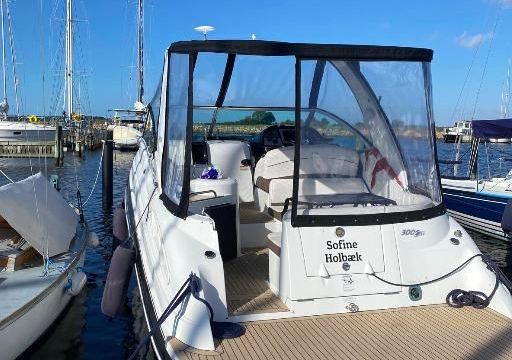 Cruisers 300 Cxi